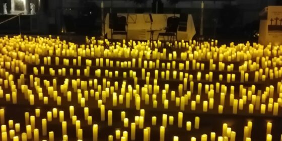 Discover the delight of a Candlelit Concert