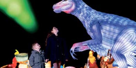 Embark on ‘A Journey Through Time’ as Wild Lights Returns to Dublin Zoo