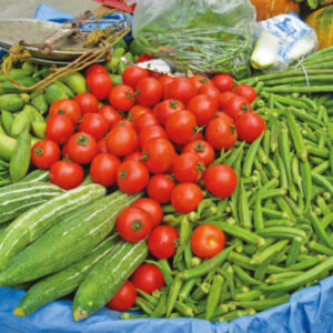 Ringsend community allotments: Growing your own