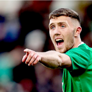 Double Defeat Throws Ireland’s World Cup Hopes into Disarray