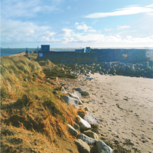 Snapshot of a Dublin Past along the Shelly Banks