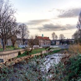 Ballsbridge and Donnybrook Pictorial