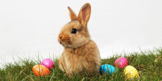 Easter Goes Green