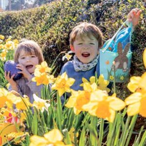 Easter Event for all the Family
